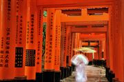 Resim Fushimi Inari Japan