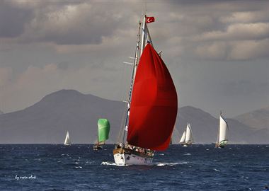 Picture of Sailing Boats 13