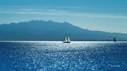 Picture of Sailing Boats 09