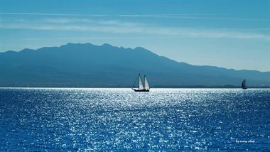 Picture of Sailing Boats 09