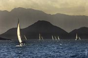 Picture of Sailing Boats 08