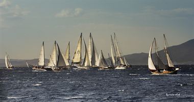 Picture of Sailing Boats 06