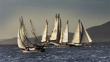 Picture of Sailing Boats 05