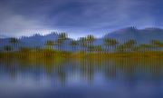 Picture of Abstract Landscapes 02