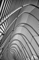 Picture of Calatrava 07