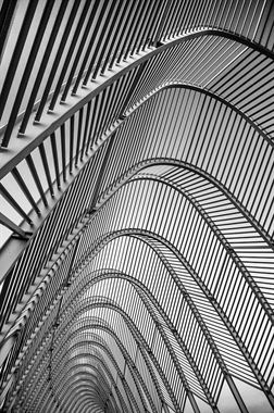Picture of Calatrava 07