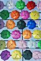 Resim Şemsiyeler