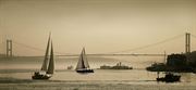 Picture of  Sailboats in the Bosphorus