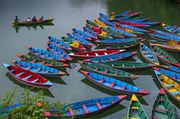 Picture of  Colorful Boats