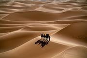 Picture of Caravan in Desert